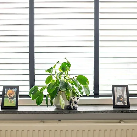 Apartment A Cosy *