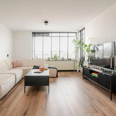 A Cosy Apartment